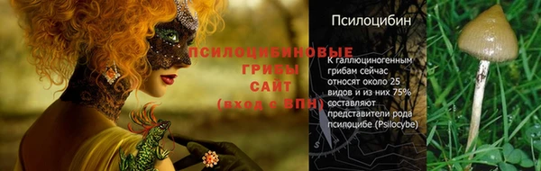 альфа пвп Бугульма