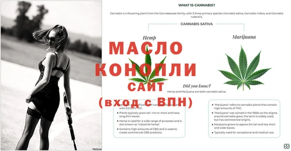 скорость mdpv Бородино