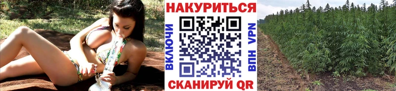 Шишки марихуана VHQ Городовиковск